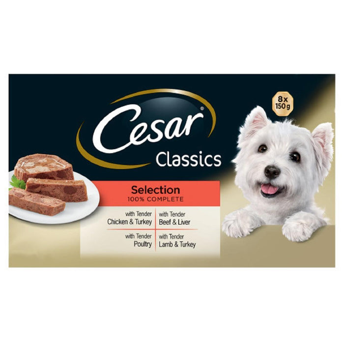 Cesar Classics Adult Wet Dog Food Trays Mixed in Loaf 8 x 150g